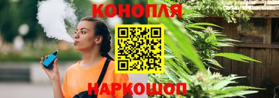 сатива Пенза