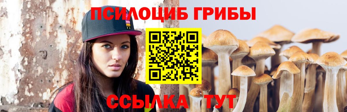 Галлюциногенные грибы GOLDEN TEACHER Сорочинск